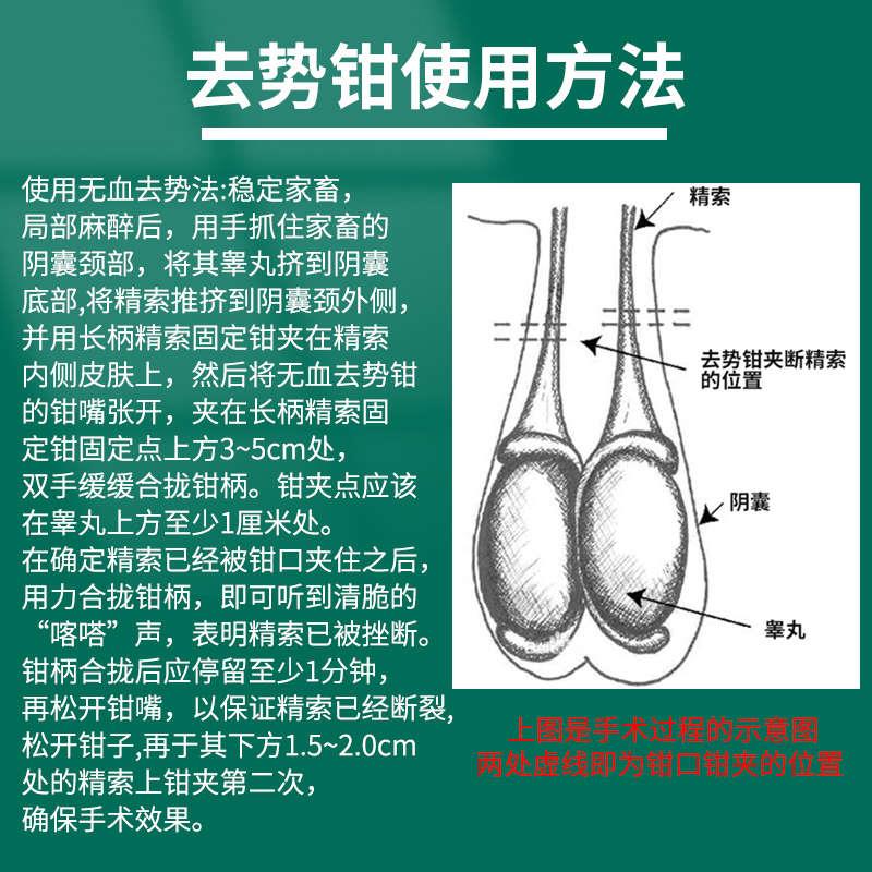 猪牛羊用无血去势钳煽羊钳阉割钳碳钢羊夹蛋钳去势钳去势器夹子