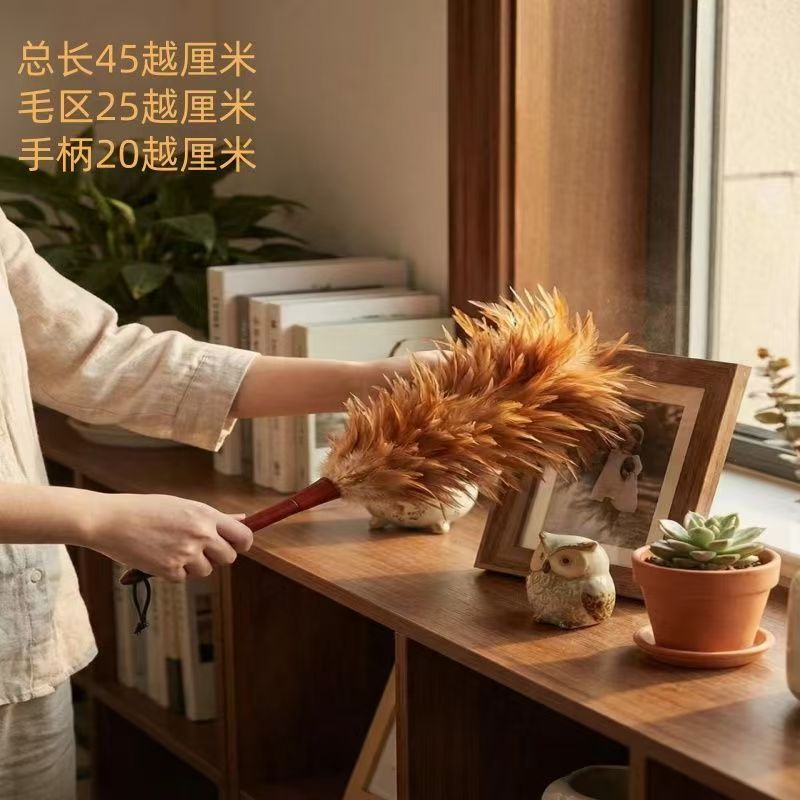 鸡毛掸子加厚扫灰老式不