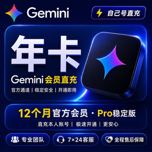 Gemini3 AI Pro 一年会员订阅.个人账号代充 远程指导开通