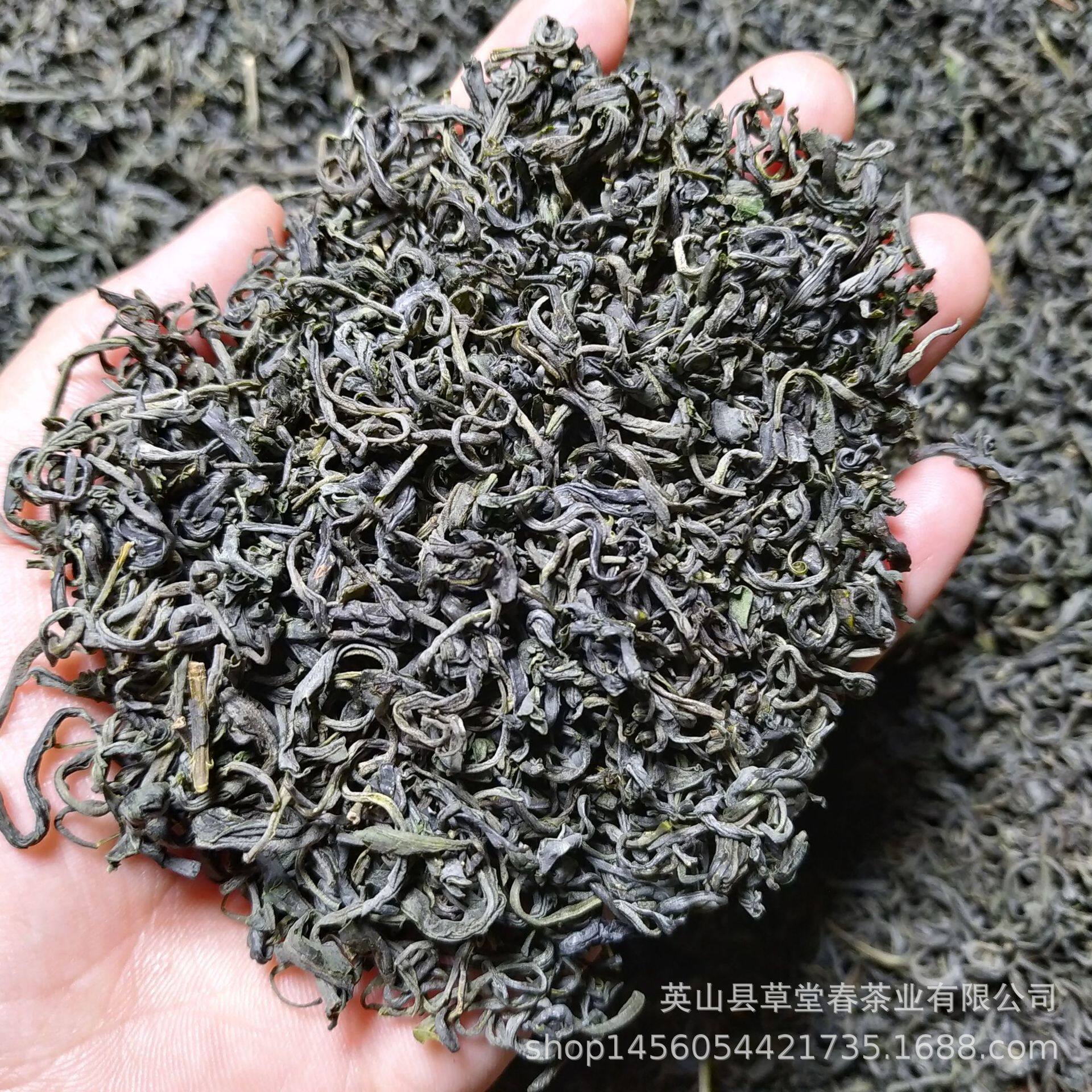 新茶雨前春茶湖北绿茶香茶高山云雾茶炒青茶叶浓香耐泡散装
