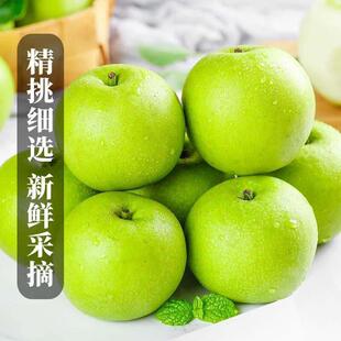 安徽砀山酥脆一号青皮梨当季新鲜采摘梨子翠冠青梨产地直发香梨