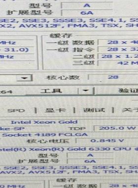 Intel Xeon Gold 6330 cpu 处理器