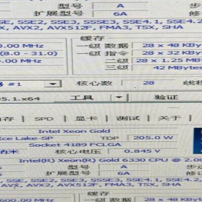 Intel Xeon Gold 6330 cpu 处理器