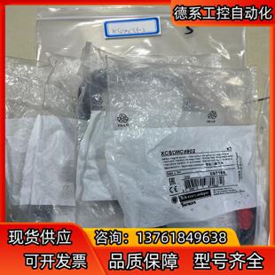 XCSDMC5902安全门磁开关XCS DMC5902