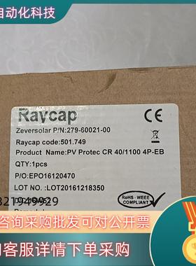 现货 Raycap 浪涌保护器 PV Protec CR 4