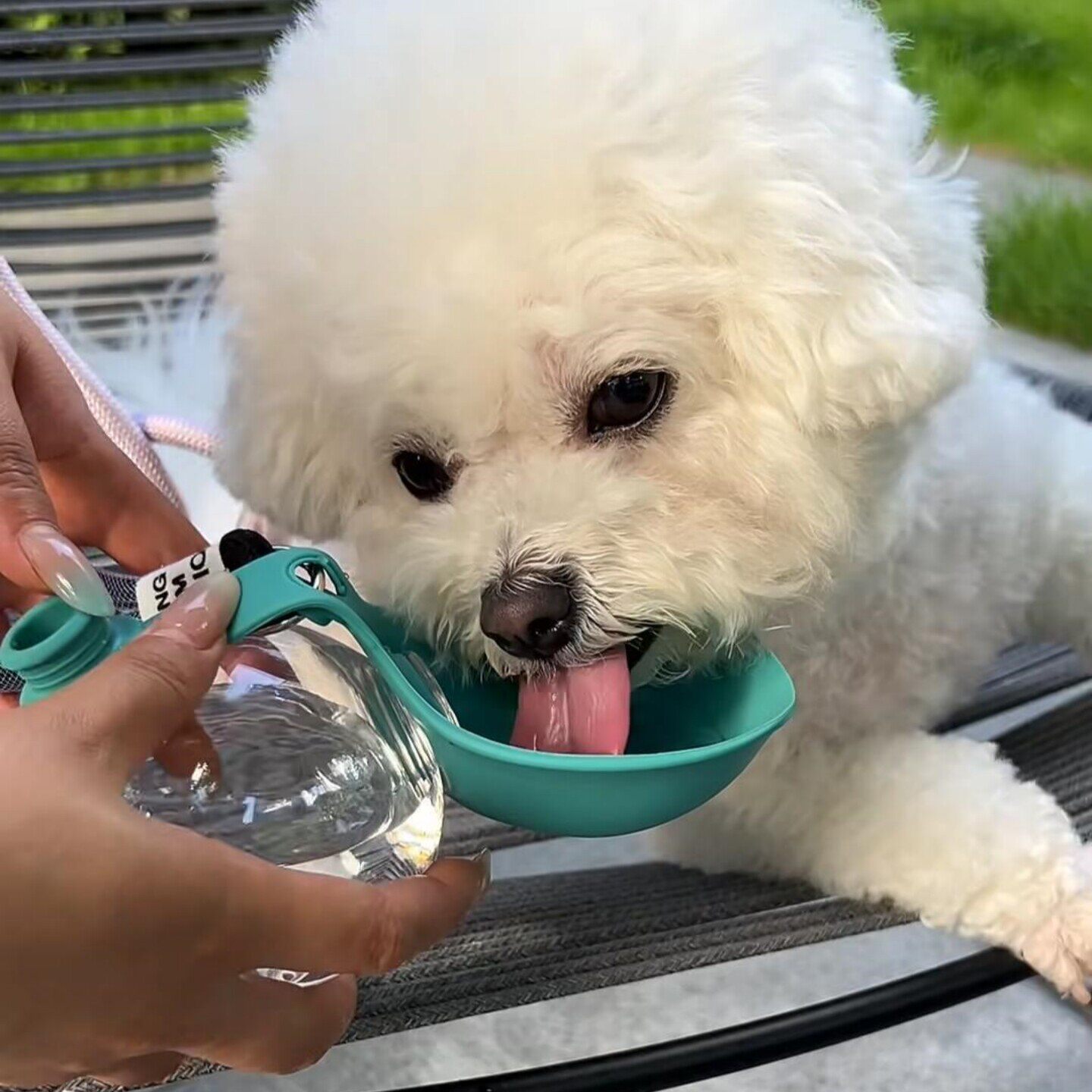 宠物随行水壶!宠物硅胶不锈钢水壶户外水杯猫狗便携带挂绳饮水器