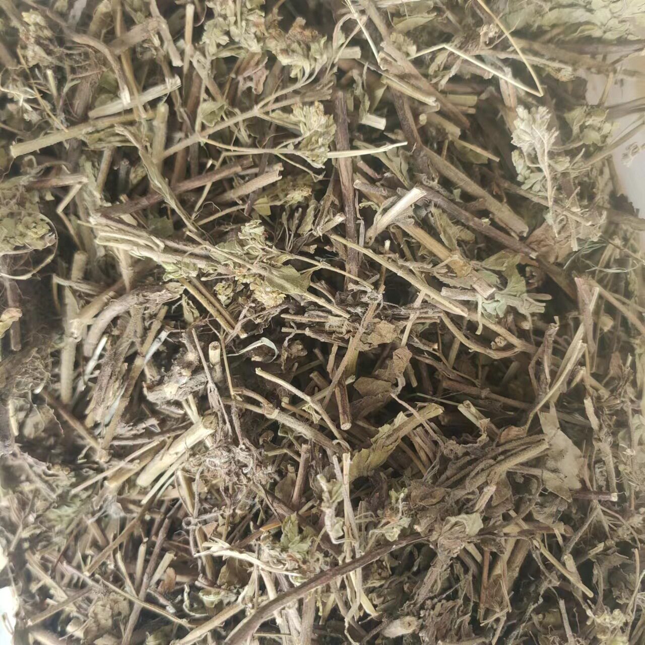 草茵陈 材 阴行草 别名:土茵陈 铃茵陈 芝麻蒿 鬼麻油