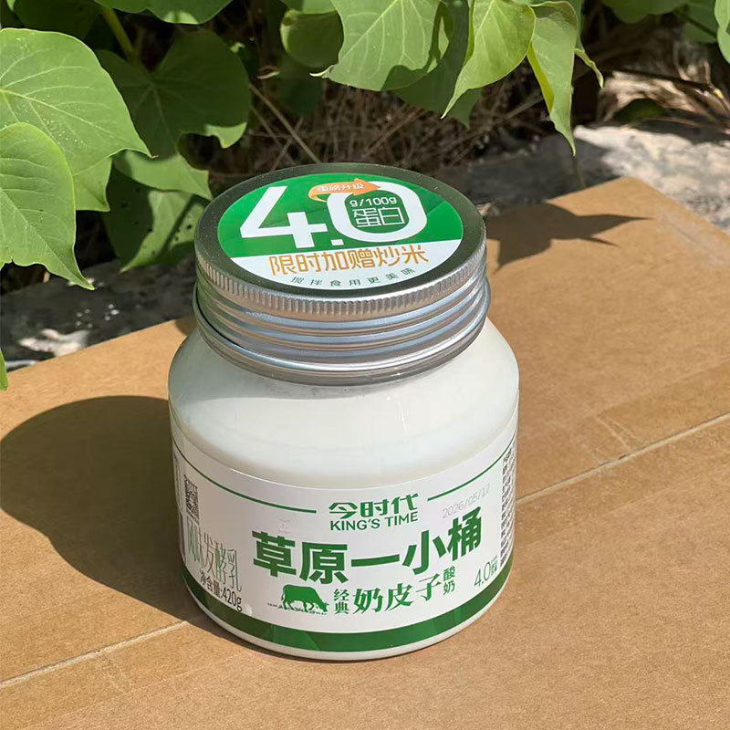今时代草原一小桶酸奶奶皮子酸奶420g*3桶益生乳酸菌