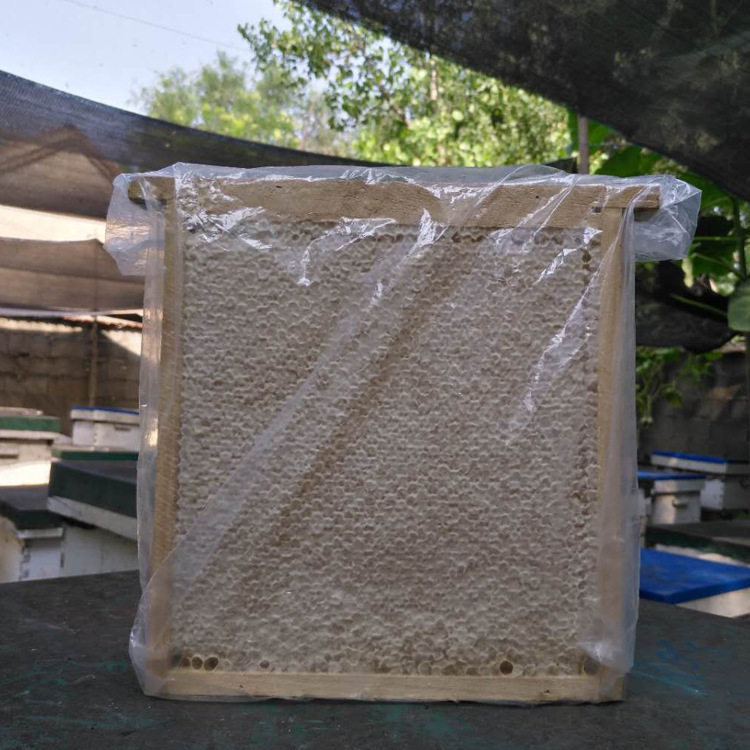 蜂场供应蜂巢蜜 散装蜂巢蜂蜜1000g 蜂巢蜜可切割装瓶