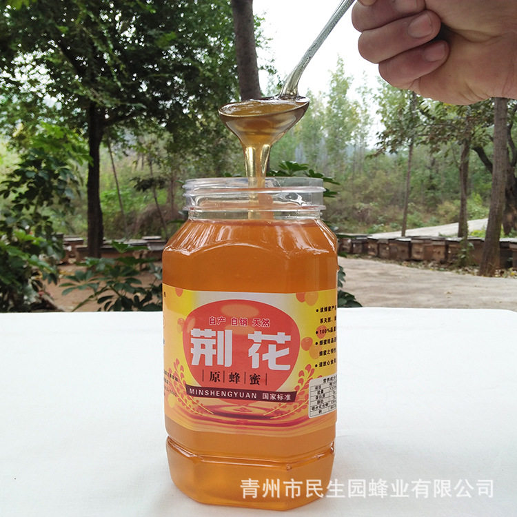 荆条蜂蜜 新鲜蜂蜜1000g 原蜜可荆花蜂蜜罐装