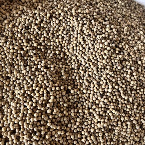 家用海南正宗白胡椒胡椒粒干货卤料猪肚鸡佐料香料调味料海南直供