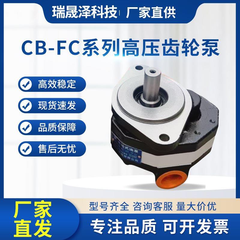高压齿轮液压油泵CB-FC齿轮泵32/40/50打压泵液压泵站大压力系统