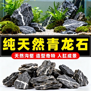 天然青龙石造景石鱼缸装饰摆件入缸成景水草缸专用片岩石松皮石