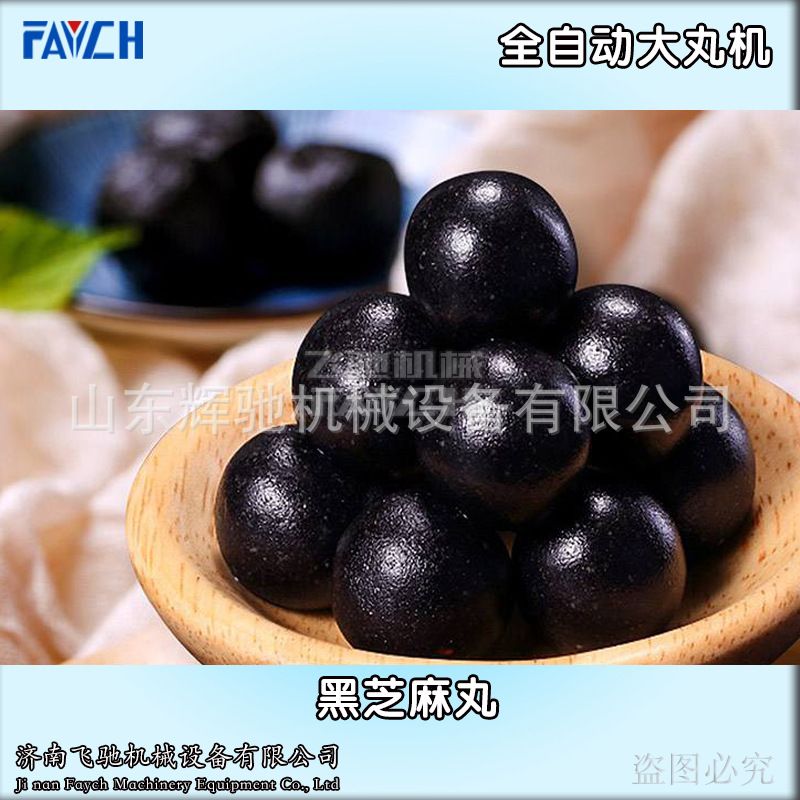 山东ZW-369S全自动大密丸机九蒸九晒黑芝麻丸 大蜜丸机生产厂家