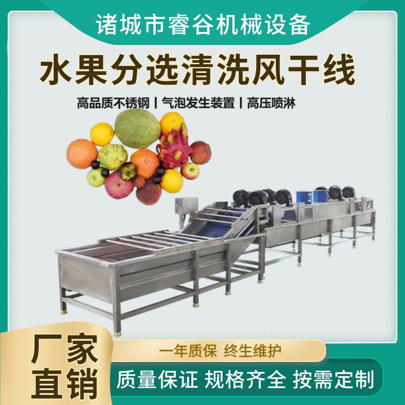火龙果清洗机 柑橘保鲜全自动洗果 机鸡心果芒果毛辊清洗机