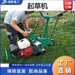 小型手推式起草机 汽油9马力草坪移植机 自动宽轮卷草皮移植设备