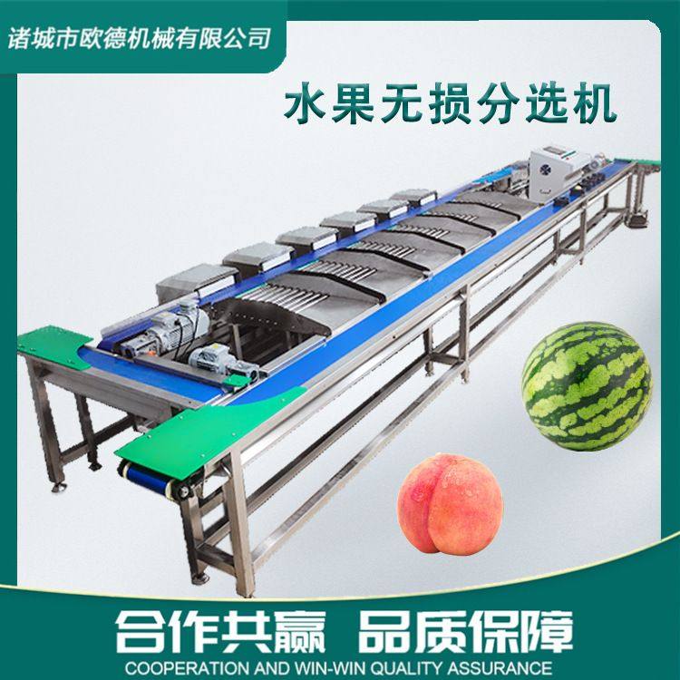 水果无损果托分选机 西瓜水蜜桃自由果托式皮带分拣机 榴莲分选机,农机/农具/农膜,农产品加工设备,淘宝优惠券,粉丝福利购,淘宝优惠卷