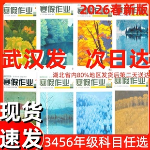 【现货 速发】2026春新版开心假期寒假作业寒假衔接3456三四五六年级数学人教英语剑桥外研版武汉出版社