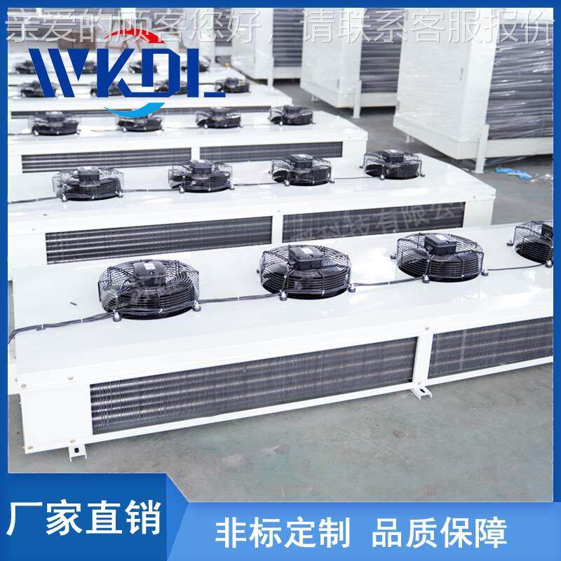 厂风家直销高效型钢双出乙二醇冷冷DD/DL/DJ风机不锈低温库工业制