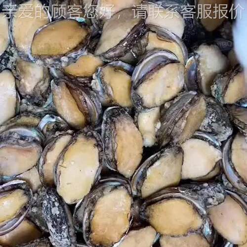 W鱼参扇贝清洗去泥砂AVL机器鲍 生蚝螃蟹烧烤海海鲜清洗去机时长
