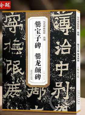 爨宝子碑 爨龙颜碑 南朝 历代碑帖精粹 简体旁注附技法解析 临摹毛笔隶书书法练字帖 安徽美术出版社