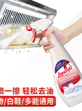 去污清洁剂油污净625ml油烟机油污净多功能泡沫强力去渍