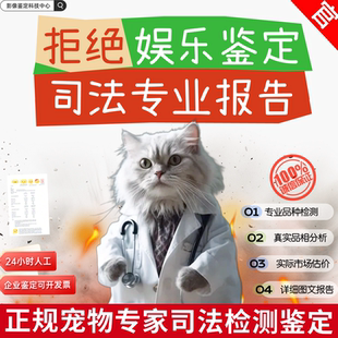 宠物鉴定师咨询狗猫咪 品种品相鉴定估价挑选柴犬边牧 布偶德文猫