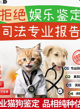 宠物鉴定师咨询猫狗品种品相鉴定估价布偶猫金渐层柴犬边牧鉴定