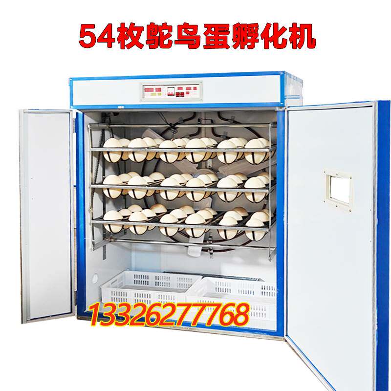 科裕全自动鸵鸟蛋孵化机鸸鹋蛋孵化机家用鸵鸟蛋专用智能卵化器