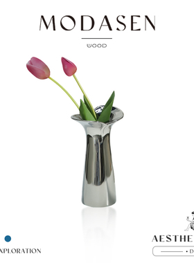 MODASEN丨镜花 JINH轻奢电镀银陶瓷花瓶客厅家居ins风水培花器