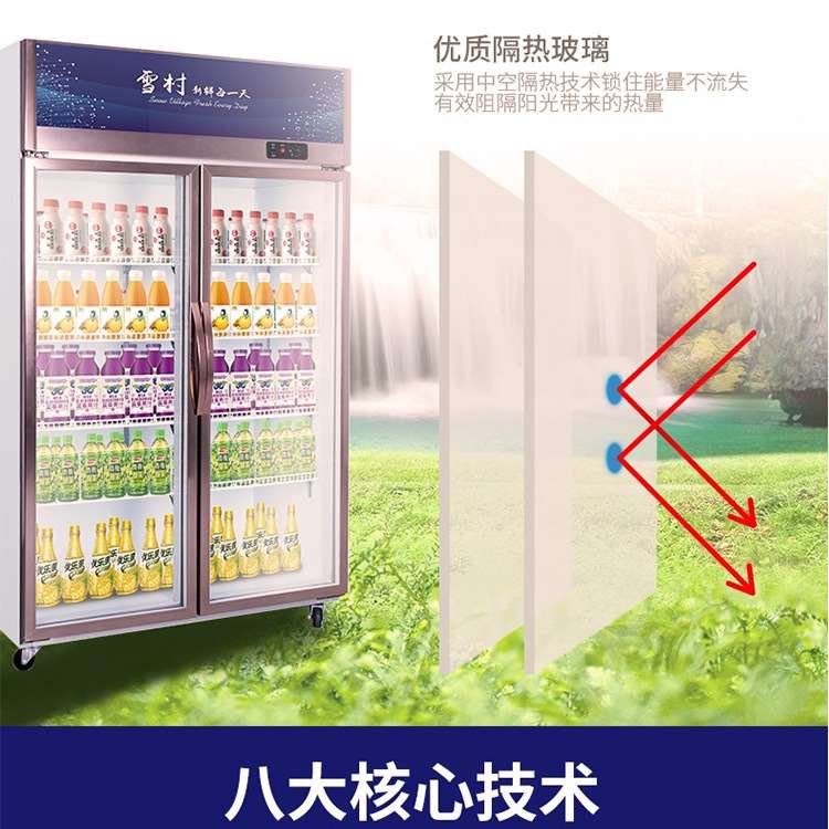 雪村商用超市陈列柜冷藏保鲜柜饮料啤酒立式冰柜两门三门展示柜