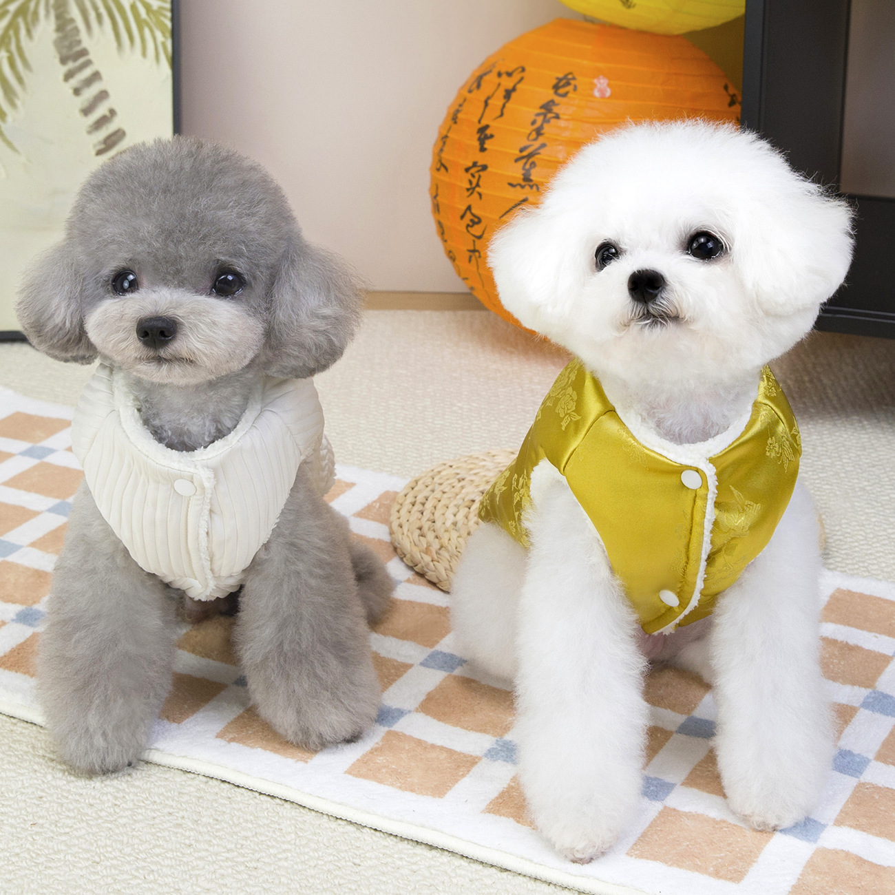 新款宠物狗狗衣服秋冬装马甲泰迪比熊小型犬冬季加厚款韩系棉背心