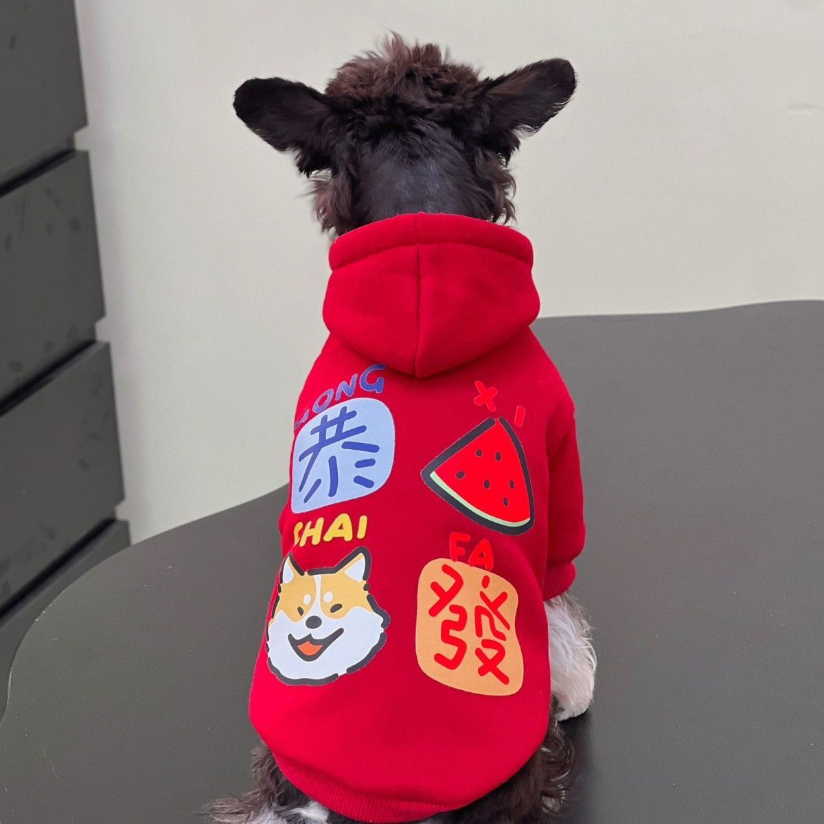 宠物狗狗衣服雪纳瑞比熊秋冬季新年喜庆红色加绒保暖拜年卫衣