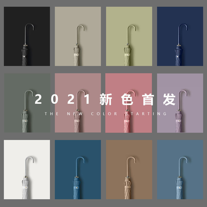 2022年新款现货韩国创意小清新16骨长柄雨伞双人自动印LOGO广告伞