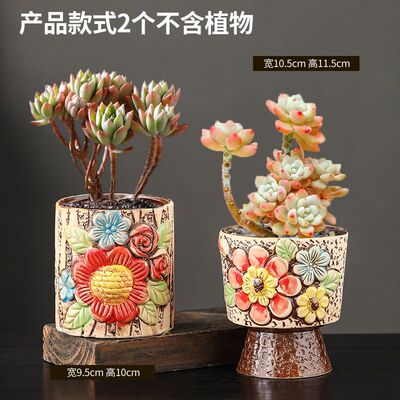 Succulent Flower Pot Ceramic Master Old Pile Pot Large Caliber Special Price Clearance Nordic Simple Succulent Flower P