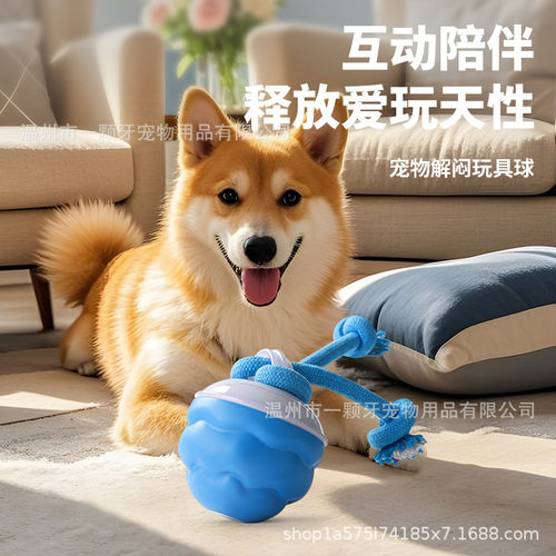 Cross border pet intelligent rolling ball rolling ball electric dog relieve boredom intelligent bite resistant teasing
