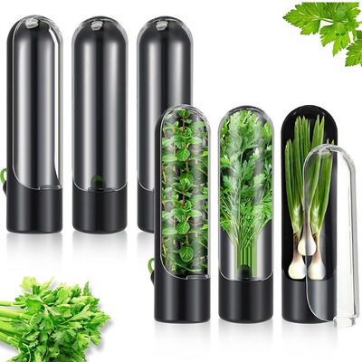 Shein multiple packaging preservation box, vanilla coriander preservation box, vegetable preservation container, corian