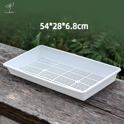 Succulent plant rectangular tray, plastic seedling tray, sowing and seedling leaves insertion tray, collecting and orga