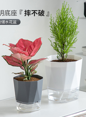 Horticultural tools, hydroponic flower pots, green vines, bamboo, self-priming lazy pots, balconies, tabletops, plastic
