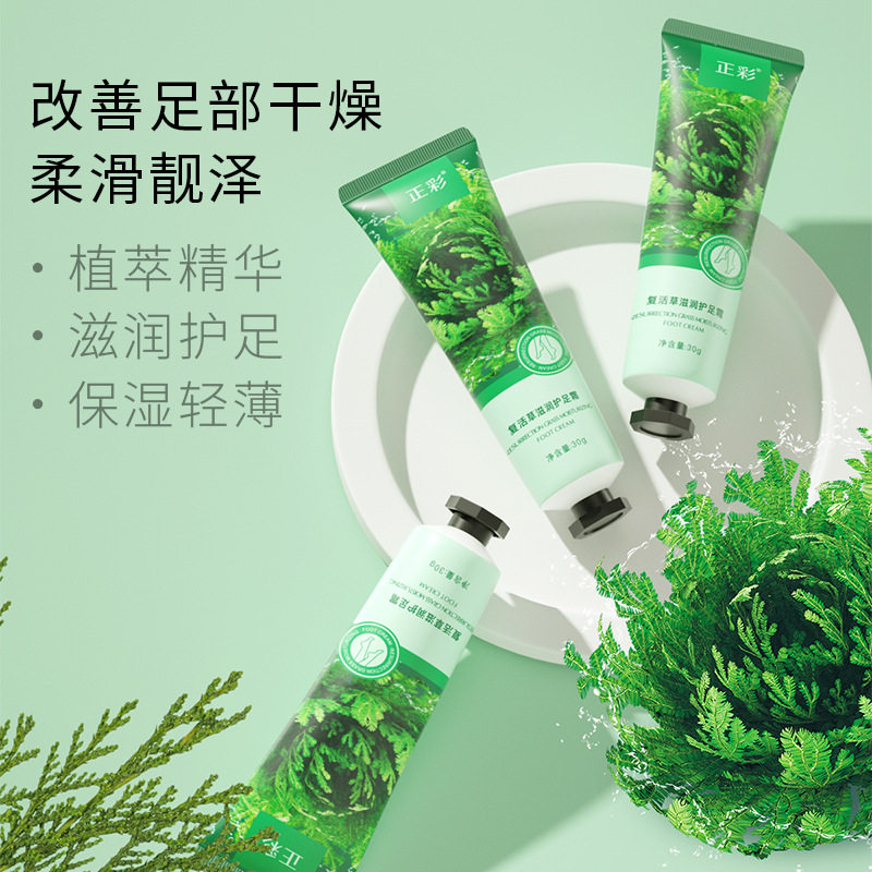 分装瓶复活草补水滋润护足霜保湿嫩滑脚后跟干燥皲裂膏防干燥护脚霜