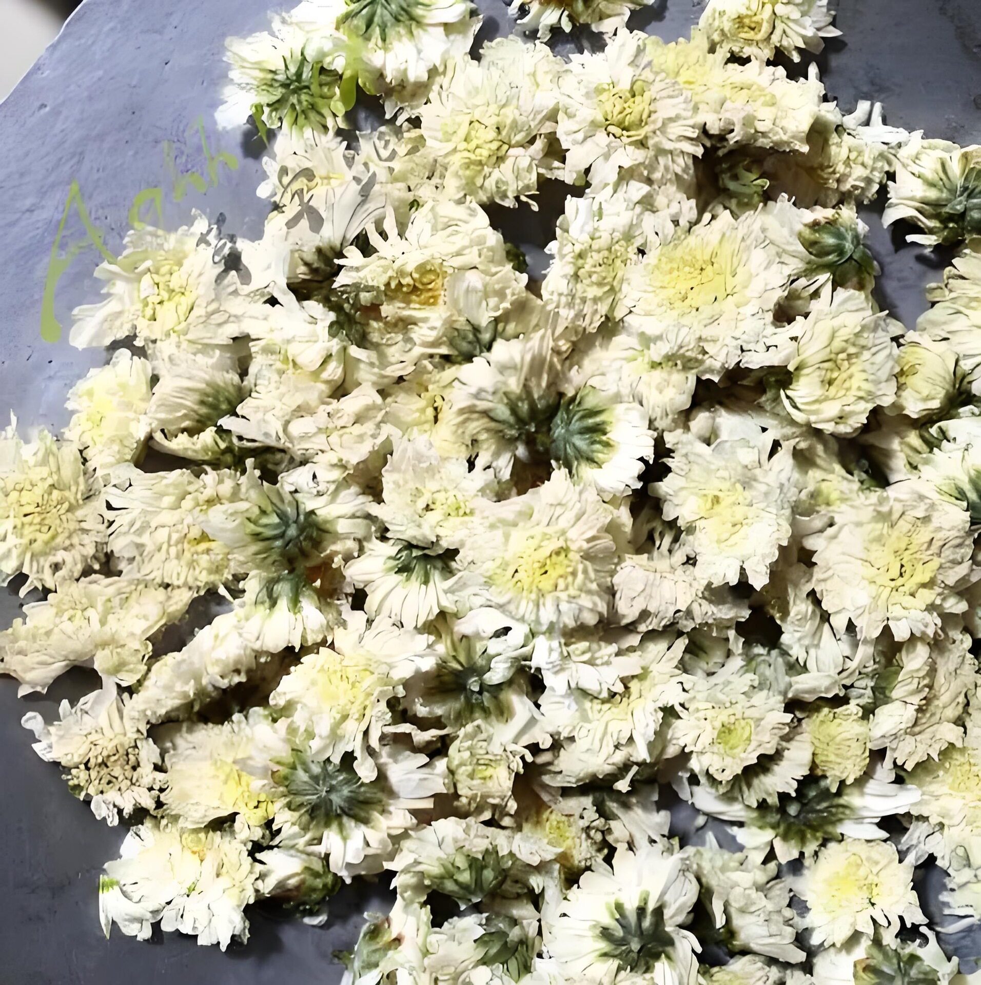 25年黄山贡菊花散装白菊花安徽特产菊花花草茶养生包邮可食用