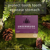 chewing Organic gum口香糖 miracle remineralizing MASTIC MINT