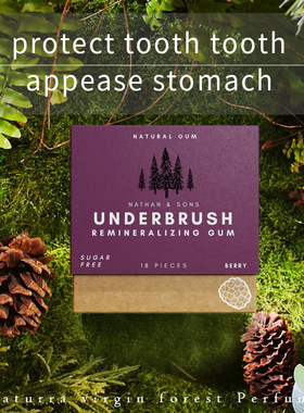 Organic MASTIC MINT miracle remineralizing chewing gum口香糖