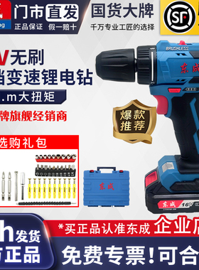 东成无刷16V充电钻双电双速手电钻电动螺丝刀锂电钻 DCJZ24-10E