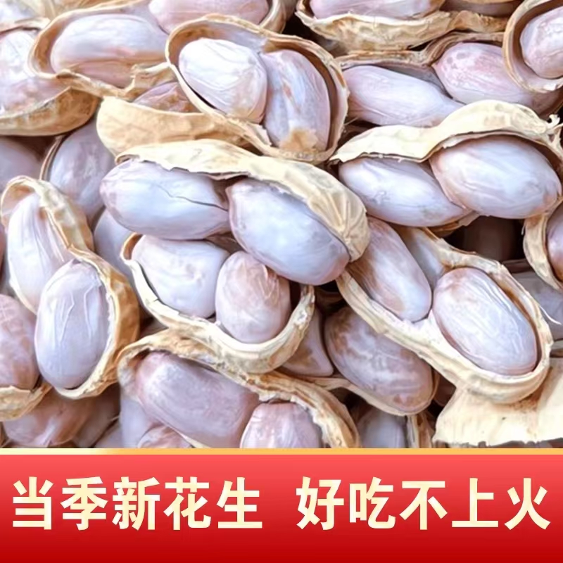 正宗龙岩花生水煮白晒湿烤蒜香花生带壳新花生香酥脆追剧