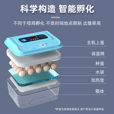 箱芦丁鸡孵化迷你小鸡家用孵化机小型智能鸭水床鹅蛋孵化器孵蛋器