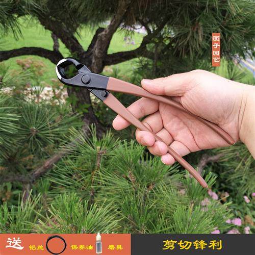 球节剪专业盆景工具球剪球结剪盆栽造型制作球形剪树瘤树节修剪,鲜花速递/花卉仿真/绿植园艺,剪刀,淘宝优惠券,粉丝福利购,淘宝优惠卷