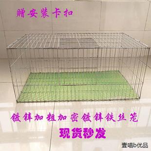 籠 鴿子養殖籠兔籠雞籠家用鵪鶉籠鐵絲鍍鋅籠運輸籠大號籠網片組裝