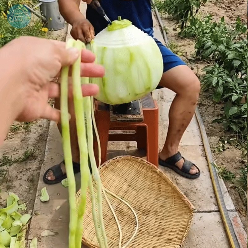 削葫芦条神器旋葫芦条神器旋葫芦条工具刮葫芦条工具葫芦条旋子双