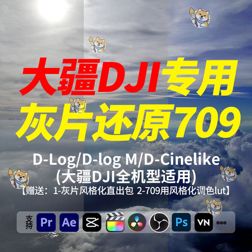 DJI大疆无人机相机DlogM/Dcine灰片还原LUT直出风格化调色预设包